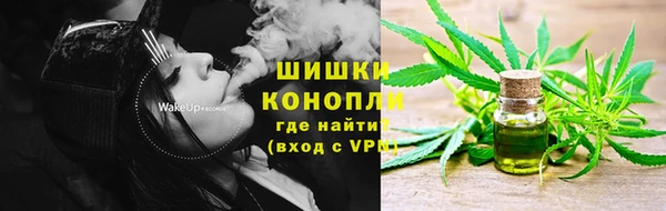 гашик Богданович