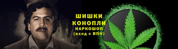 гашик Богданович