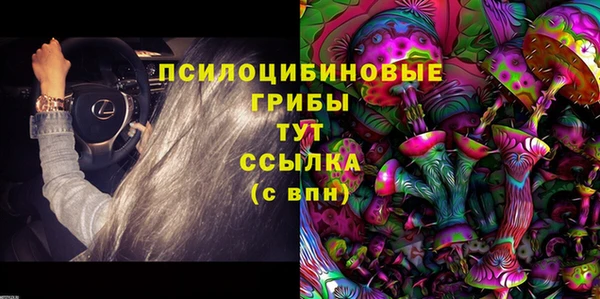 гашик Нефтекумск