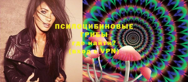 сатива Богородицк