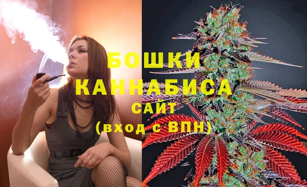 сатива Богородицк