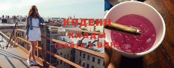 гашик Богданович