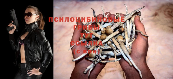 сатива Богородицк