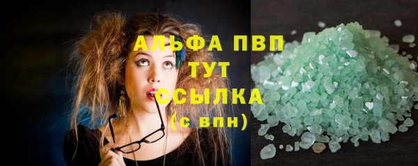 сатива Богородицк